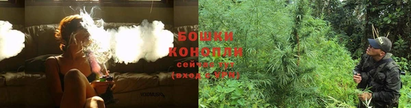 дмт Козловка